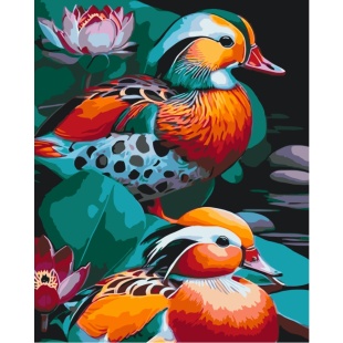 Картина по номерам, 40х50 см, с набором красок и 3 кисточками, "Утки мандаринки" Картина по номерам, 40х50 см, с набором красок и 3 кисточками, "Утки мандаринки" - интернет-магазин optom-k.com