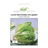 Салат, 0,3 г, "Мини-Ромен Літл Джем F1", Профессиональные Семена - интернет-магазин optom-k.com
