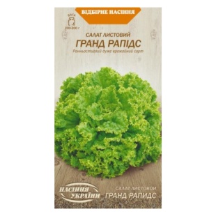 Салат листовий, 1 г, "Гранд Рапідс", Насіння України - інтернет-магазин optom-k.com