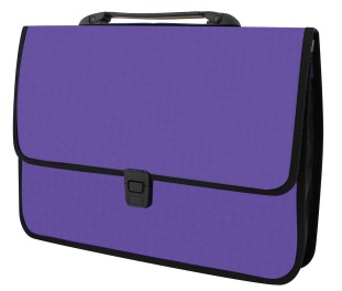 Портфель 27х20,35,5, 1 отделение, на застежке, фактура «Вышиванка», фиолетовый цвет, ECONOMIX - интернет-магазин optom-k.com