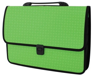 Портфель 27х20,35,5, 1 отделение, на застежке, фактура «Вышиванка», салатовый цвет, ECONOMIX - интернет-магазин optom-k.com