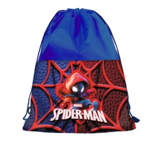 Сумка для обуви, 46х32 см, "Спайдер", Leader - интернет-магазин optom-k.com