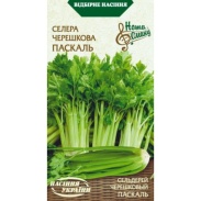 Сельдерей, 0,5 г, "Черешковая Паскаль", Семена Украины - интернет-магазин optom-k.com