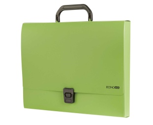 Портфель пластиковый, A4, 1 отделение, на застежке, салатовый цвет, ECONOMIX - интернет-магазин optom-k.com