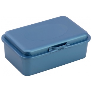 Ланч-бокс, 750 мл, синий цвет с перламутровым напылением, "SNACK", ECONOMIX - интернет-магазин optom-k.com
