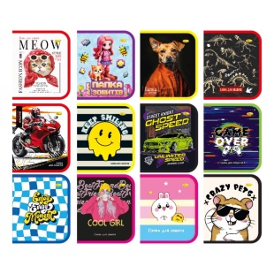 Папка для тетрадей, 235х195 см, на молнии, Апельсин - интернет-магазин optom-k.com