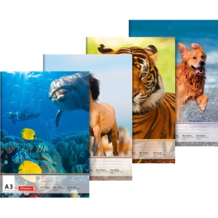 Альбом для рисования, клееный, А3, 10 листов, 100 г/м2, Brunnen - интернет-магазин optom-k.com