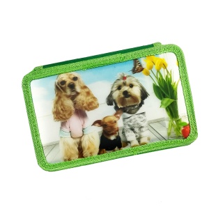 Пенал-книжка, 19х11х4 см, 3D, 3 отделения, на молнии, Leader - интернет-магазин optom-k.com