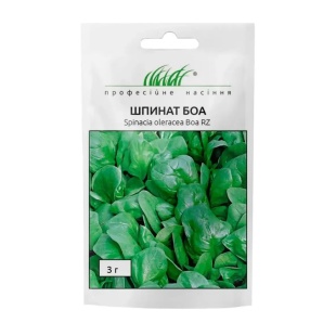 Шпинат, 3 г, "Боа F1", Профессиональные Семена - интернет-магазин optom-k.com