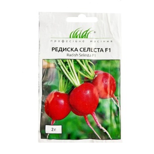 Редиска, 2 г, "Селеста F1", Профессиональные Семена - интернет-магазин optom-k.com