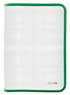 Папка для тетрадей, В5, пластиковая, на молнии, зеленый цвет, ECONOMIX - интернет-магазин optom-k.com